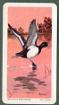 To return to cigarette cards catalogue close this window