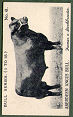 To return to cigarette cards catalogue close this window