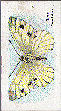 To return to cigarette cards catalogue close this window