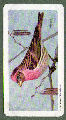 To return to cigarette cards catalogue close this window