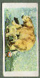 To return to cigarette cards catalogue close this window