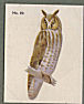 To return to cigarette cards catalogue close this window