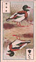Full Images of the cigarette cards will open in a new window to return to catalogue close window 