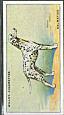 Full Images of the cigarette cards  will open in a new window to return to catalogue close window 