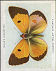 Full Images of the cigarette cards  will open in a new window to return to catalogue close window 