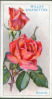 The cigarette cards in the set are: Blush Rambler, British Queen, Captain F S Harvey-Cant, Caroline Testout, Chastity, Ciccie Easlea, Comte G De Rochemur, Coral Cluster, Covent Garden, Emma Wright, Excelsa, Flame of Fire, The General, General McArthur, Golden Emblem, Gorgeous, Henry Nevard, Hugh Dickson, Independence Day, J B Clark, Jessie, Lady Alice Stanley, Lady Ashtown, Lady Gay, Lady Hillingdon, Lady Inchiquin, Lady Pirrie, Lady Roberts, Los Angeles, Mabel Morse, Mme. Abel Chatenay, Madame Edouard Herriot, Madame Ravary, Melody, Mrs Alfred West, Mrs Bertram J Walker, Mrs Charles Lamplough, Mrs George Shawyer, Mrs F S Harvey Cant, Mrs Henry Morse, Mrs H R Darlington, Mrs Wemyssquin, Muriel Adamson, National Emblem, Ophelia, Premier, Prince Charming, The Queen Alexandra Rose, La Reine Elizabeth & Severine.