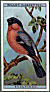 Full Images of the cigarette cards  will open in a new window to return to catalogue close window 
