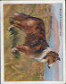 Full Images of the cigarette cards  will open in a new window to return to catalogue close window 